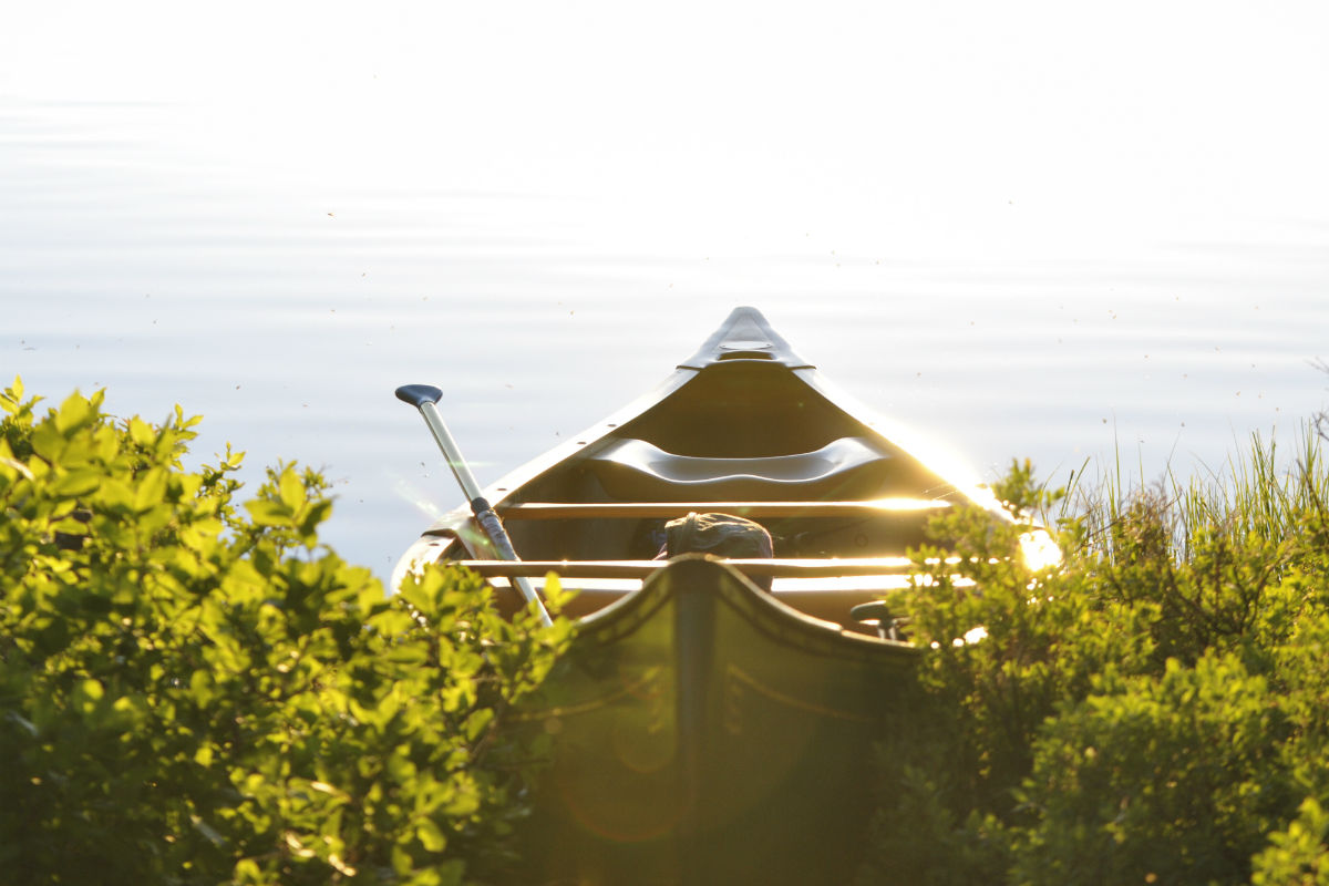在线永久免费轰炸电话